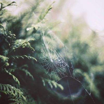 2023管家婆资料正版大全澳门